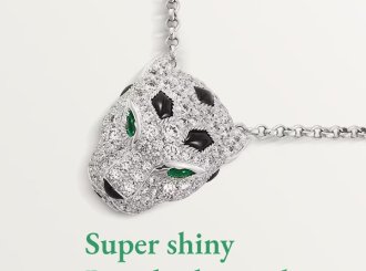 hot-sale-super-shiny-leopard-print-diamond-filled-necklace（14）